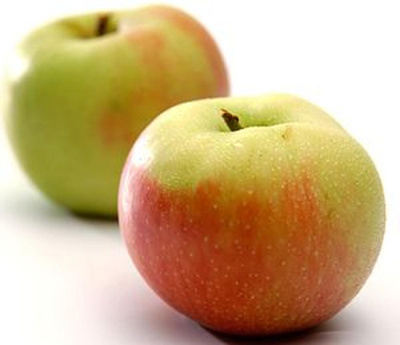 Produktfoto zu Backapfel_ Verarbeitungsapfel eigene Ernte