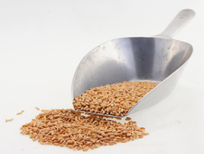 Produktfoto zu Dinkel 1kg