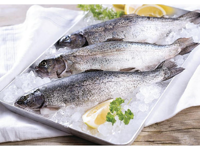 Produktfoto zu Frische Forelle 300-450g Forellenzucht Rameil