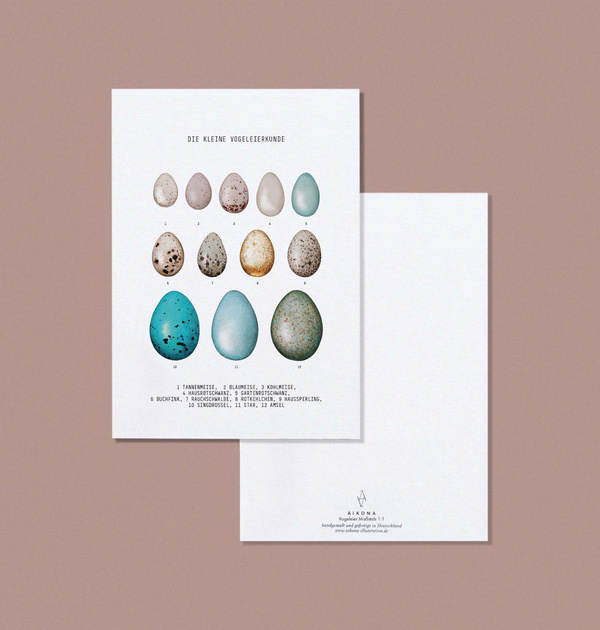 Produktfoto zu Postkarte "Kleine Vogeleierkunde" Aikona Illustration