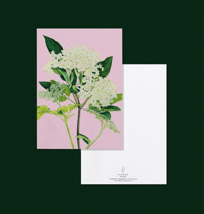 Produktfoto zu Postkarte "Holunder" Aikona Illustration