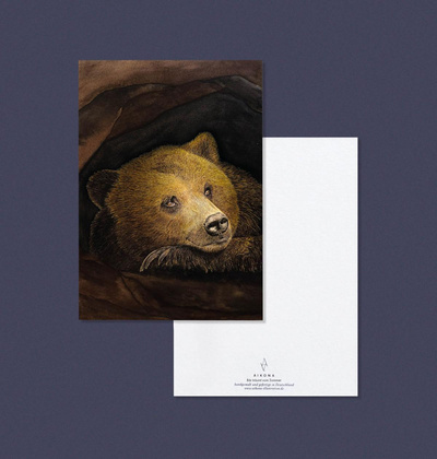 Produktfoto zu Postkarte "Bär" Aikona Illustration