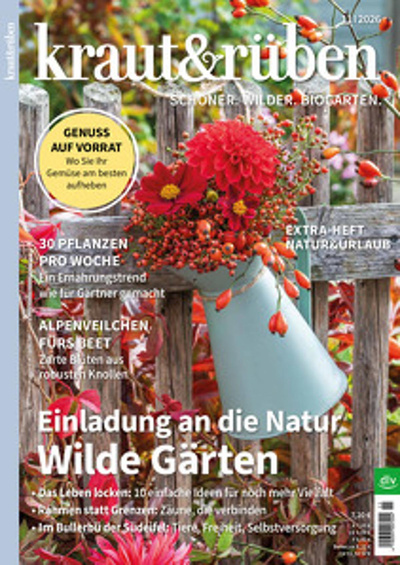 Produktfoto zu Kraut & Rüben Ausgabe 11-2026