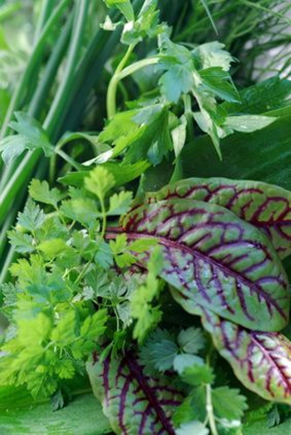 Produktfoto zu Kräuter für Grüne Soße