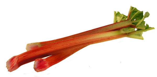 Produktfoto zu Rhabarber