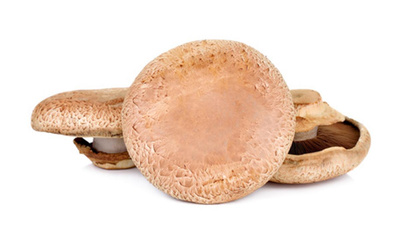 Produktfoto zu Portobello Riesenchampignons