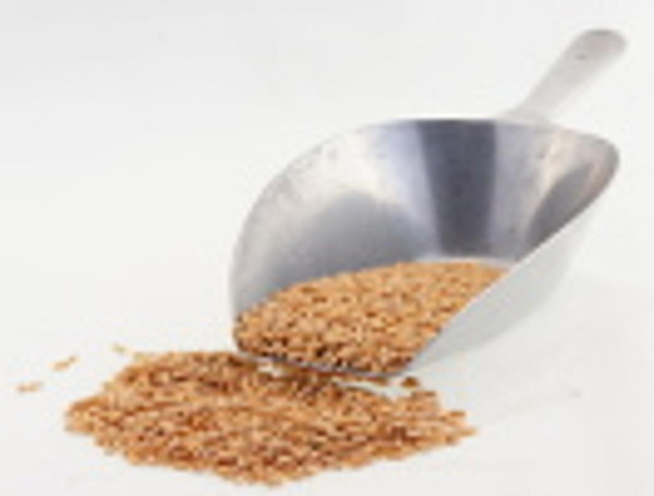 Produktfoto zu Nackthafer 5 kg Davert