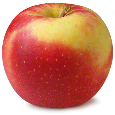 Produktfoto zu Apfel "Elstar" Neue Ernte