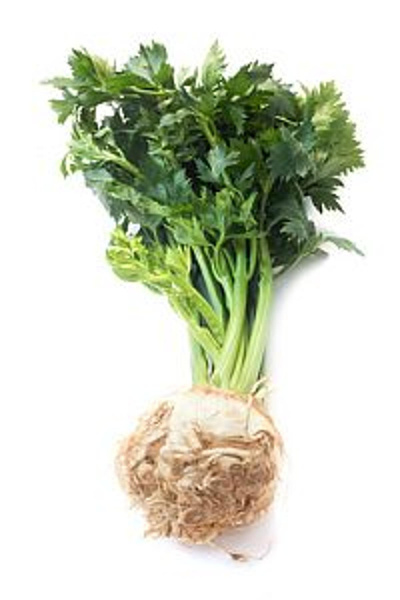 Produktfoto zu Sellerie mit Grün