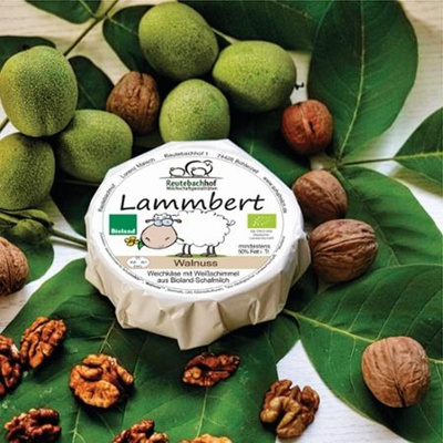 Produktfoto zu Lammbert Schafmilch-Weichkäse mit Walnuss ca. 250g Reutebachhof