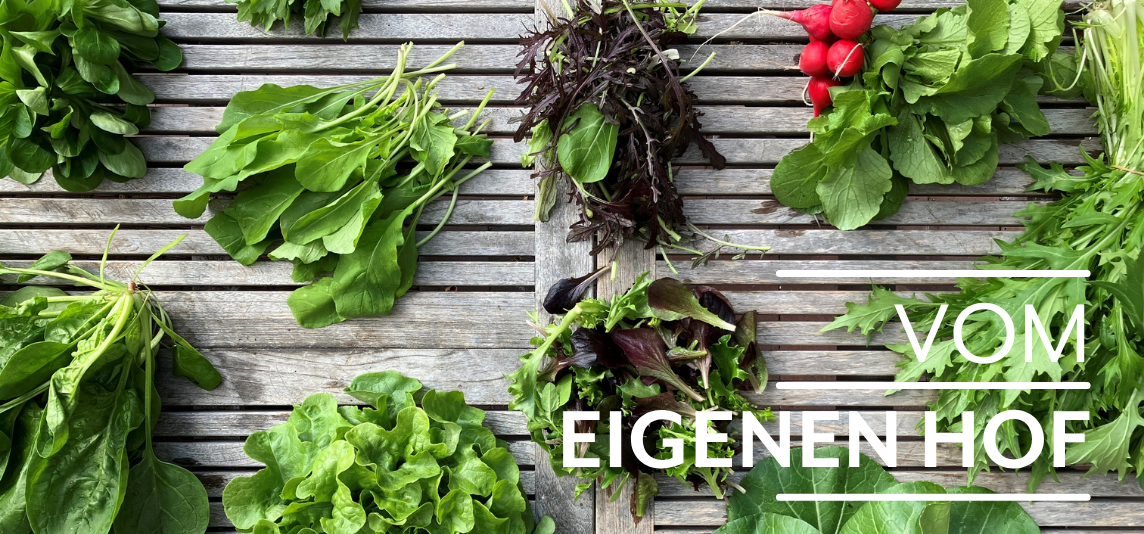 KI generiert: Drei Frauen stehen lachend in einem Feld und halten frisch geernteten Blumenkohl. Der Schriftzug "VOM EIGENEN HOF" ist deutlich sichtbar.