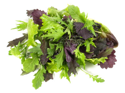 Produktfoto zu Pflücksalat "Schnittsalat"