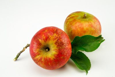 Produktfoto zu Apfel "Holsteiner Cox"