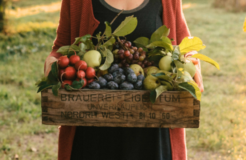 BioBüroObst
