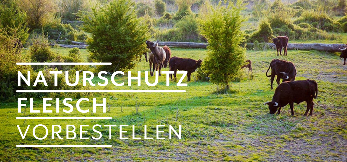 KI generiert: Drei Frauen stehen lachend in einem Feld und halten frisch geernteten Blumenkohl. Der Schriftzug "VOM EIGENEN HOF" ist deutlich sichtbar.