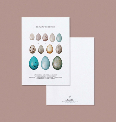 Produktfoto zu Postkarte "Kleine Vogeleierkunde" Aikona Illustration