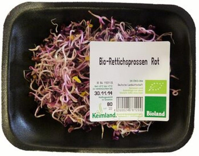 Produktfoto zu Rettichsprossen rot samenfest 80g Keimland