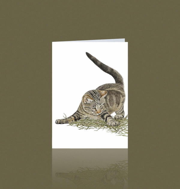 Produktfoto zu Doppelkarte "Kater Fritz" Aikona Illustration