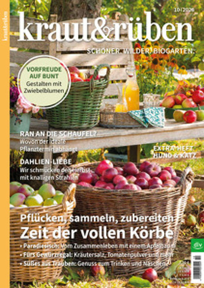 Produktfoto zu Kraut & Rüben Ausgabe 10-2026