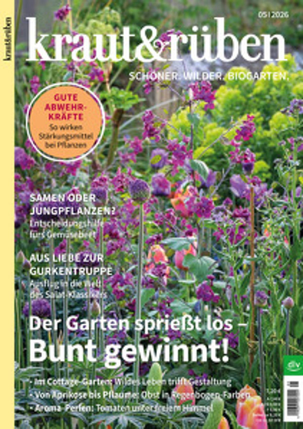 Produktfoto zu Kraut & Rüben Ausgabe 5-2026