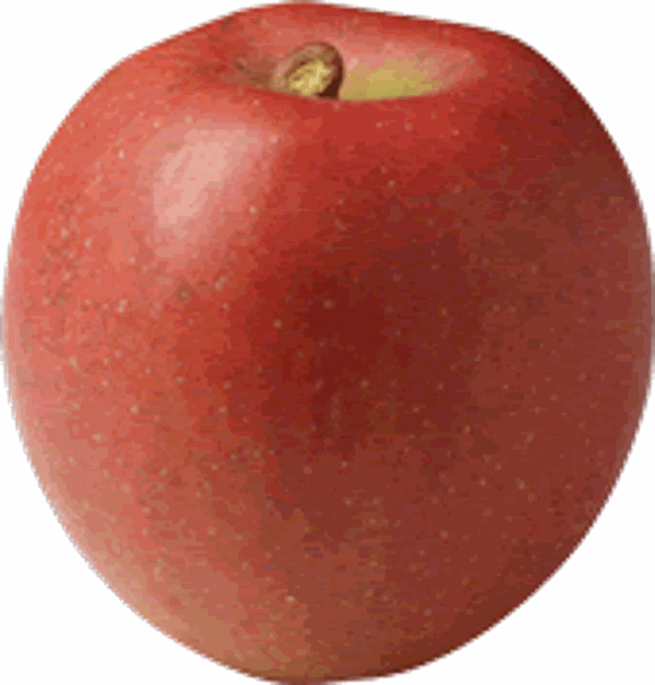 Produktfoto zu Apfel "Freya"