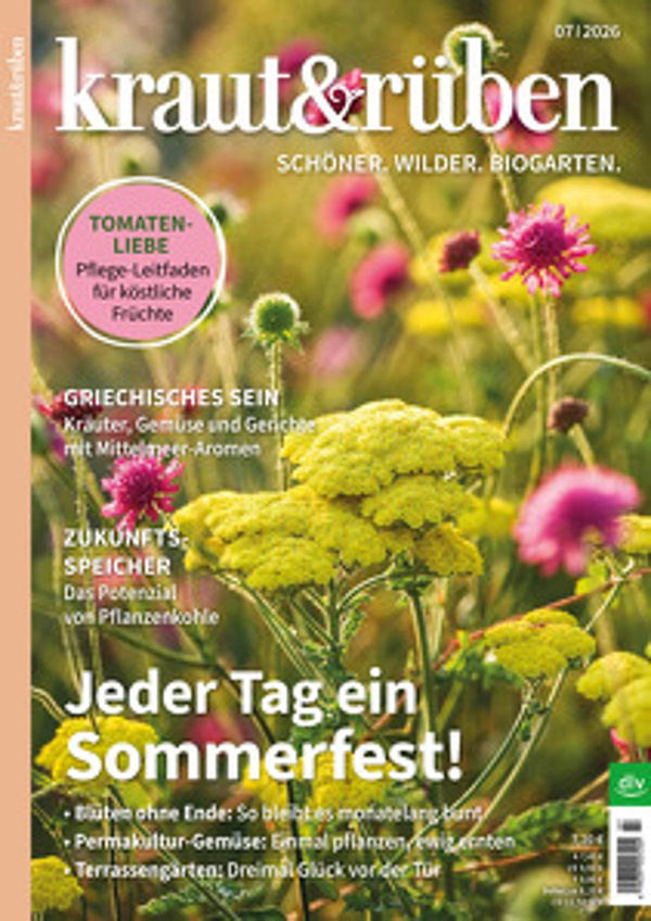 Produktfoto zu Kraut & Rüben Ausgabe 7-2026