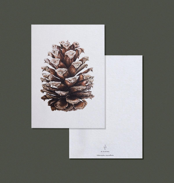 Produktfoto zu Postkarte "Kiefernzapfen" Aikona Illustration