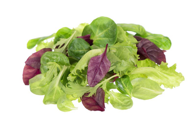 Produktfoto zu Baby Leaf Wildkräutersalatmischung