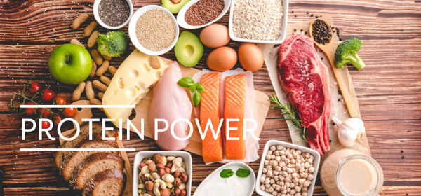 KI generiert: Das Bild zeigt reife Orangen, die an einem Baum hängen. Auf der linken Seite steht der Text "Orangen Kampagne".