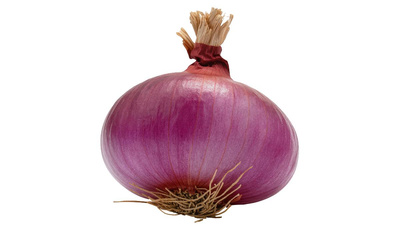 Produktfoto zu Zwiebeln rot "Höri Bülle"