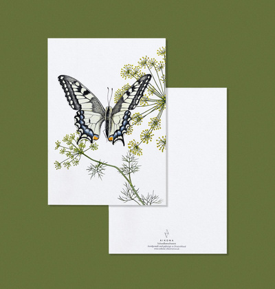 Produktfoto zu Postkarte Schwalbenschwanz Aikona