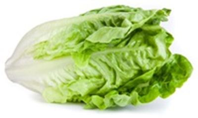 Produktfoto zu Römersalat klein
