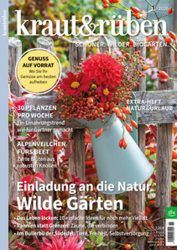 Produktfoto zu Kraut & Rüben Ausgabe 11-2026