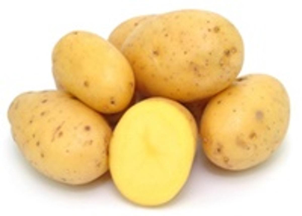 Produktfoto zu Kartoffeln 1,5kg Netz mehligkochend "Gunda"
