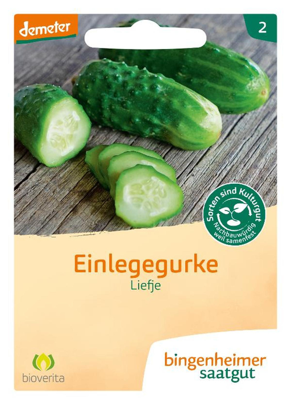Produktfoto zu Saatgut Einlegegurke Liefje Bingenheimer Saatgut