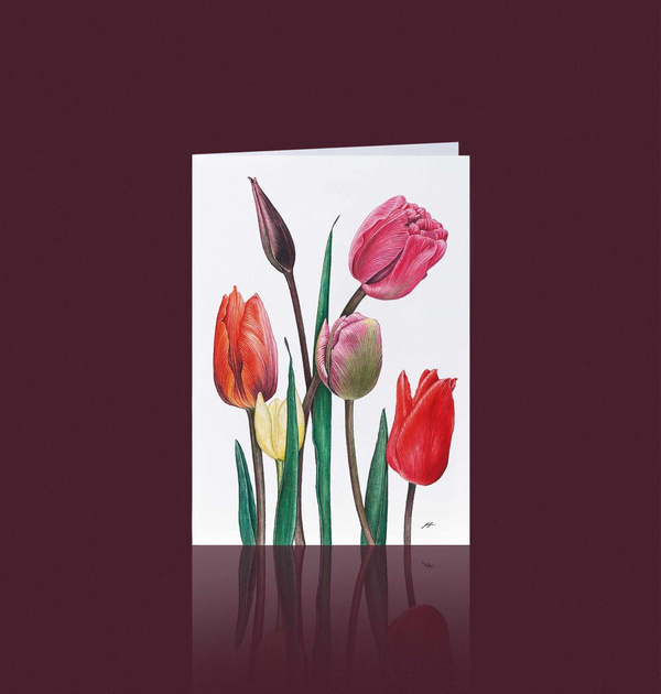 Produktfoto zu Doppelkarte "Tulpen" Aikona Illustration