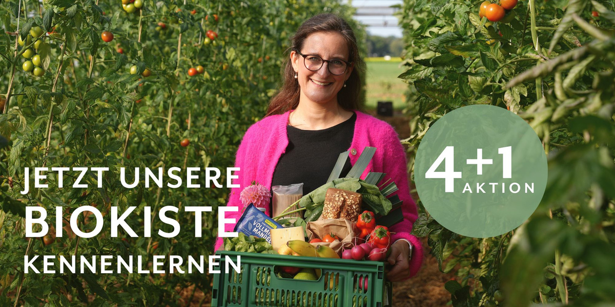 KI generiert: Eine Frau trägt eine Kiste mit Bio-Produkten im Garten. Text: "JETZT UNSERE BIOKISTE KENNENLERNEN 4+1 AKTION".