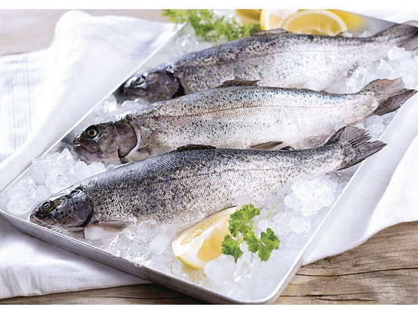 Produktfoto zu Frische Forelle 300-450g Forellenzucht Rameil