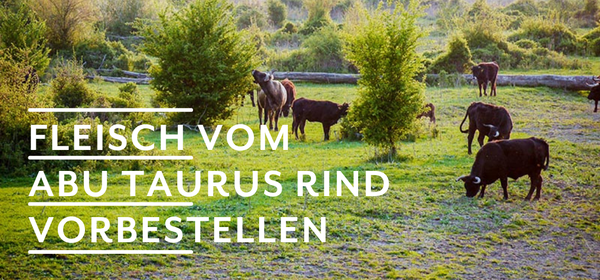 KI generiert: Das Bild zeigt reife Orangen, die an einem Baum hängen. Auf der linken Seite steht der Text "Orangen Kampagne".