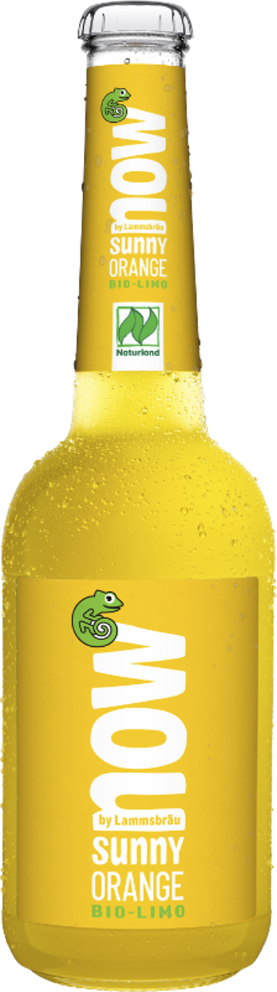Produktfoto zu VPE now Sunny Orange 10x0,33 l now