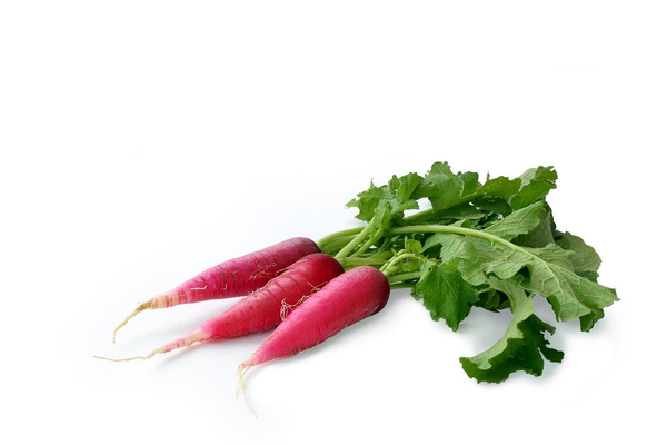 Produktfoto zu Rettich rot Bnd.