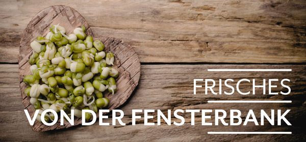 KI generiert: Das Bild zeigt reife Orangen, die an einem Baum hängen. Auf der linken Seite steht der Text "Orangen Kampagne".