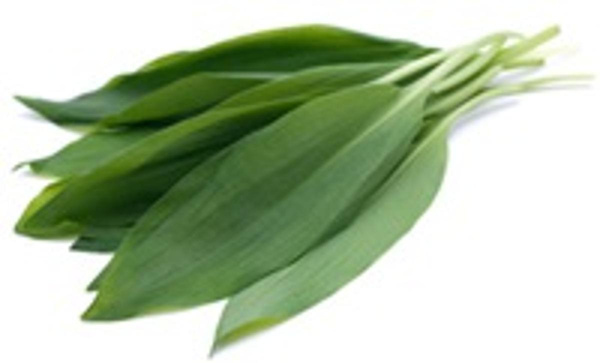 Produktfoto zu Bärlauch im Bund