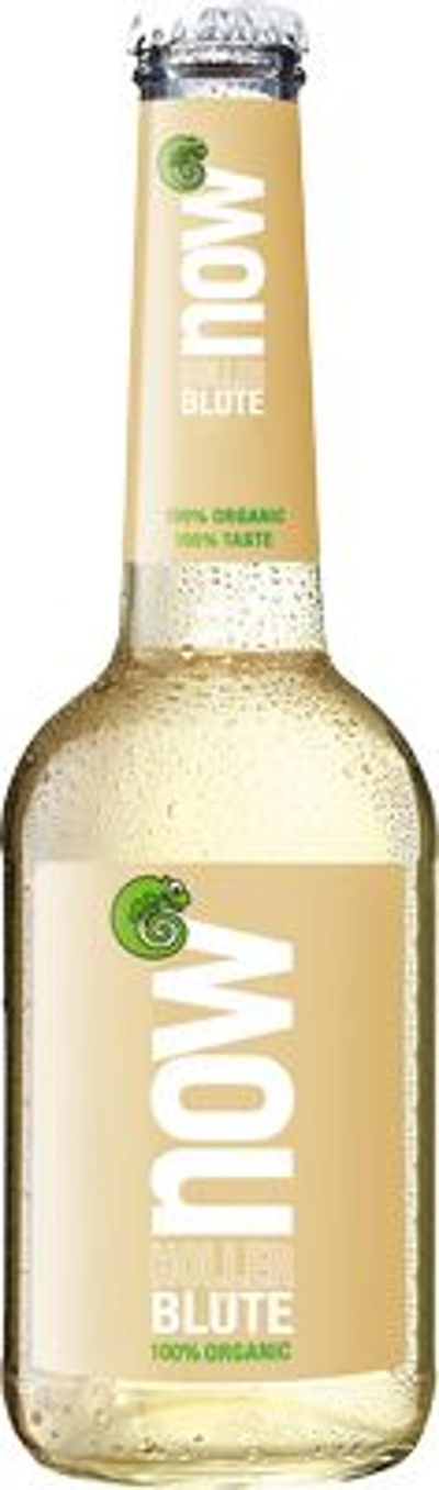 Produktfoto zu VPE now Holler Blüte