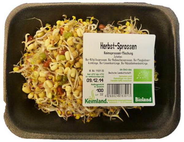 Produktfoto zu Herbstsprossen samenfest 100g Keimland