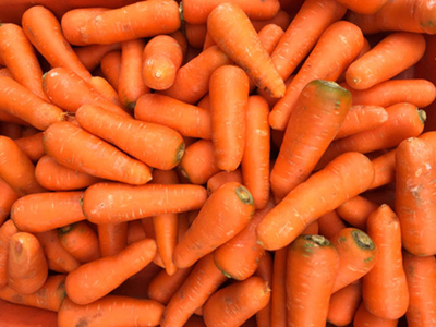Produktfoto zu Futtermöhren 5kg