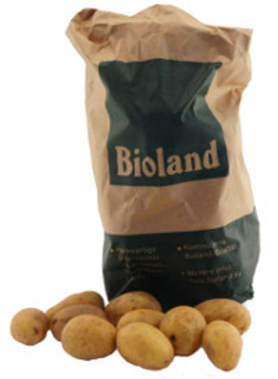 Produktfoto zu Kartöffelchen "Drillinge" 1 kg