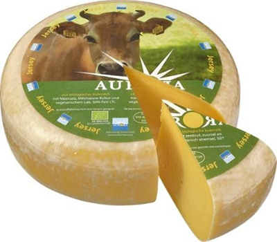Produktfoto zu Gouda Jersey 50% Aurora Gold