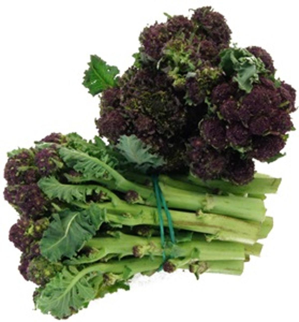 Produktfoto zu Sprossen Broccoli 200g Bund