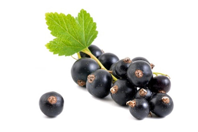 Produktfoto zu Johannisbeeren schwarz 250g aus Herford